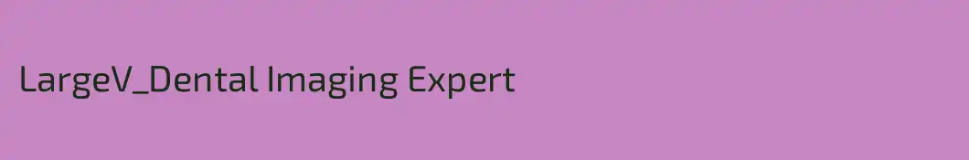 LargeV_Dental Imaging Expert